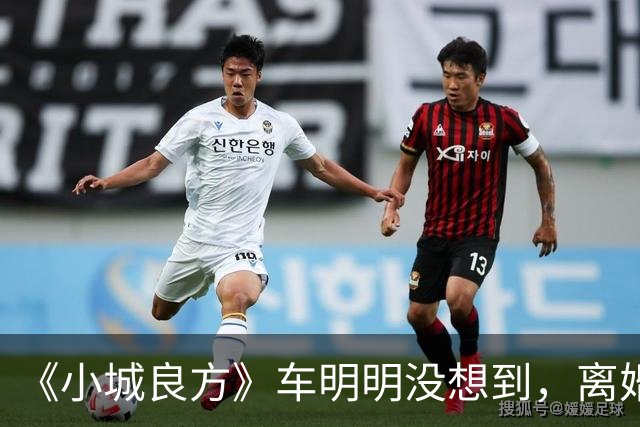 《小城良方》车明明没想到，离婚远走，却促成陈俊南平步青云