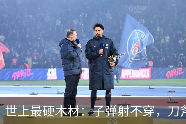 世上最硬木材：子弹射不穿，刀斧劈不烂，却被我国大量收购