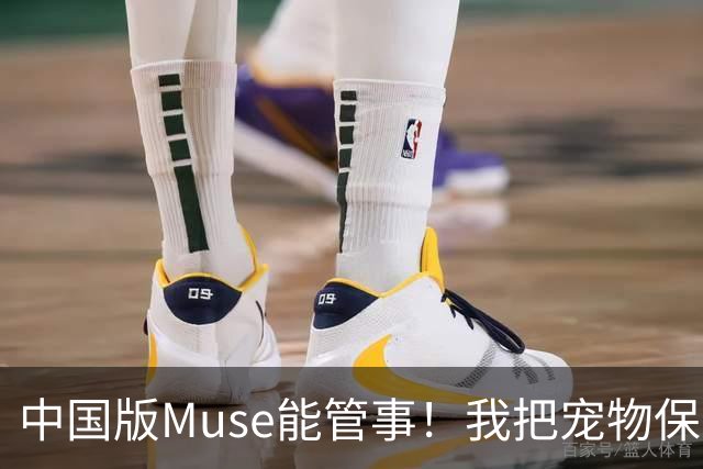 中国版Muse能管事！我把宠物保单、双11算价和周末旅行全交给了灵光2.0