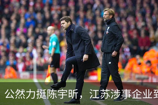 公然力挺陈宇昕，江苏涉事企业到底图个啥