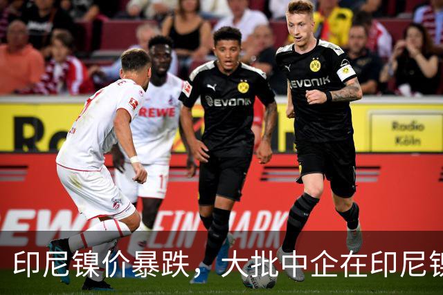 印尼镍价暴跌，大批中企在印尼镍厂亏惨，集体减产自救