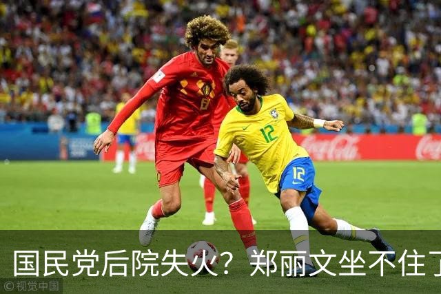 国民党后院失火？郑丽文坐不住了，急下“动员令”！3句话太高明