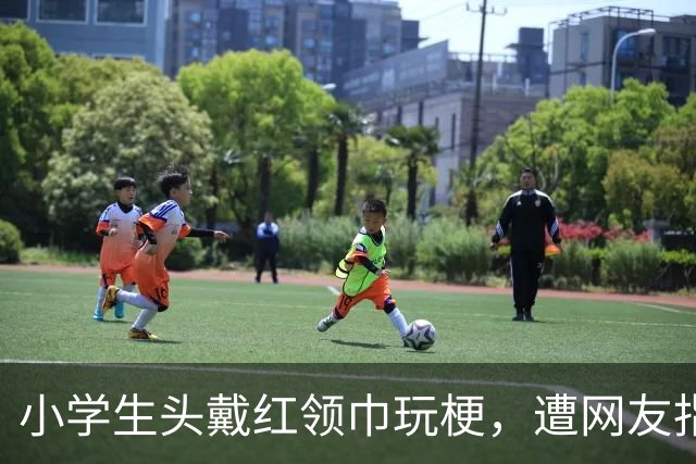 小学生头戴红领巾玩梗，遭网友指责，最终发视频道歉