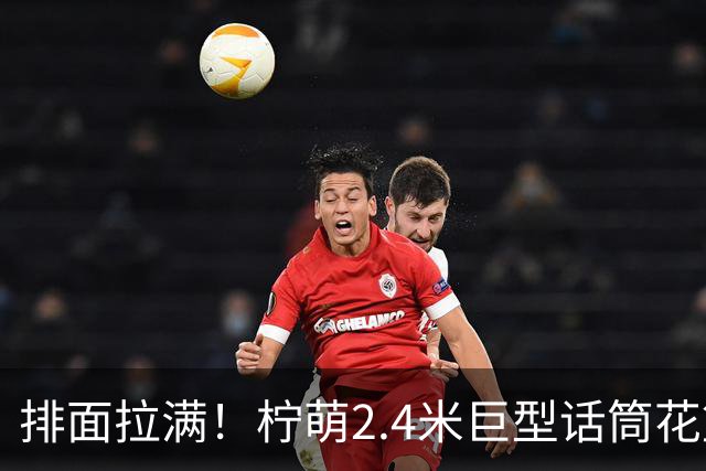 排面拉满！柠萌2.4米巨型话筒花篮，送到肖战演唱会现场