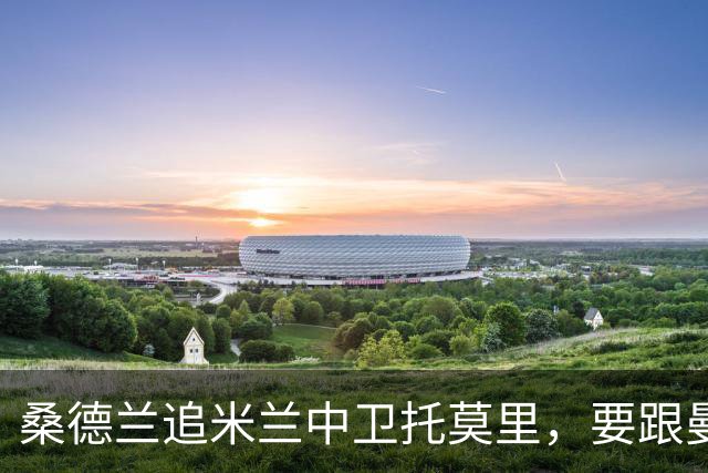 桑德兰追米兰中卫托莫里，要跟曼联热刺等五队抢人