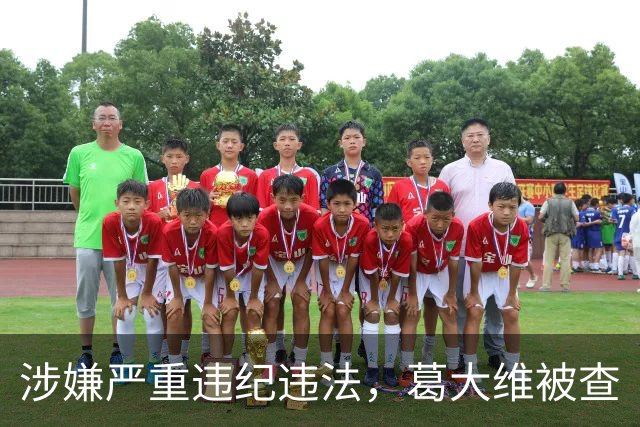涉嫌严重违纪违法，葛大维被查