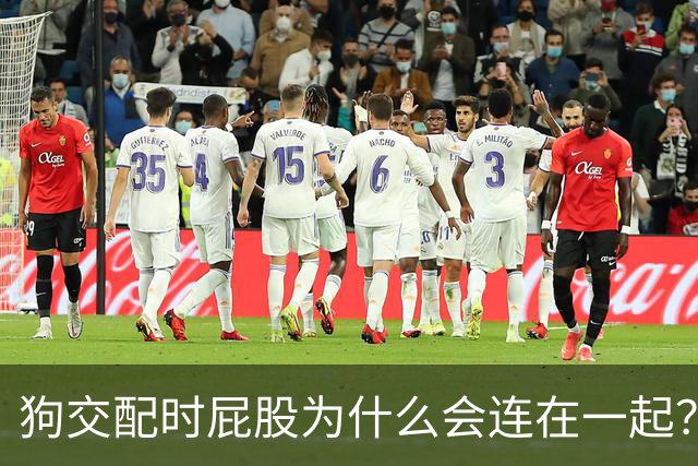 狗交配时屁股为什么会连在一起？是母狗不让，还是公狗不想？