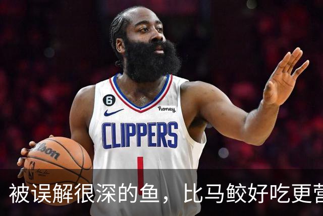 被误解很深的鱼，比马鲛好吃更营养，鱼肉似“千层糕”，我国独有