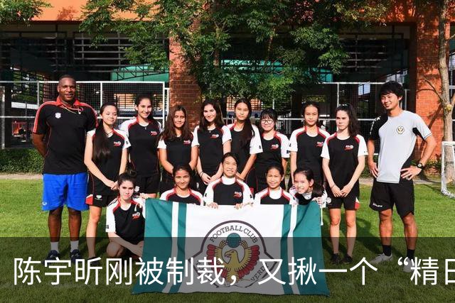 陈宇昕刚被制裁，又揪一个“精日”人员：竟然还是本土企业老板