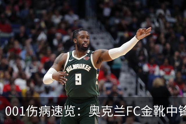 001伤病速览：奥克兰FC金靴中锋停赛，布里斯班狮吼后防厚度低